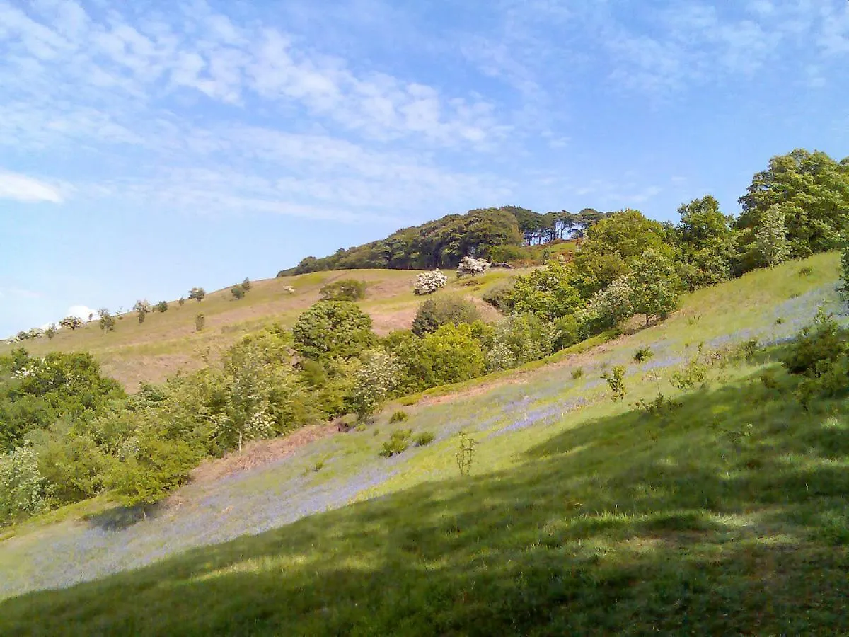 The Kingsway Villa Ilkley 0*,